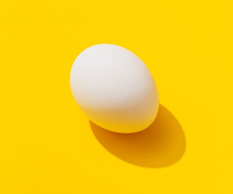 An egg's image